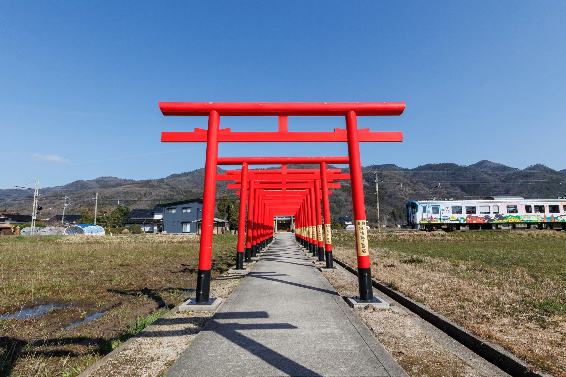 Red torii gates of Awazu Inari Shrine, with an Ichibata Railway train alongside